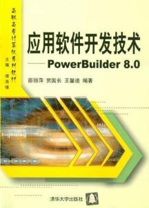 应用软件开发技术全景解析 从基础到实践，构建高效智能的软件解决方案